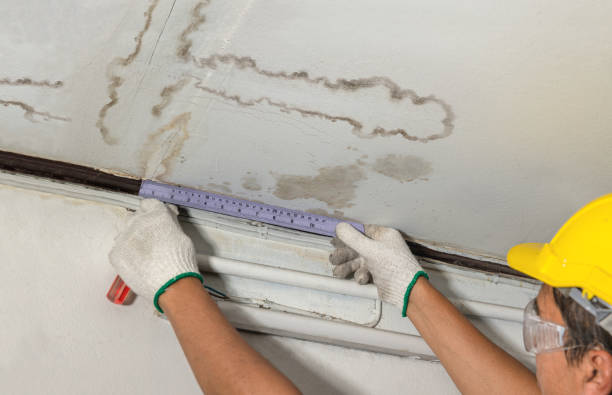Reliable Water Extraction contractor in Bayonne, NJ by Water Damage Irwin